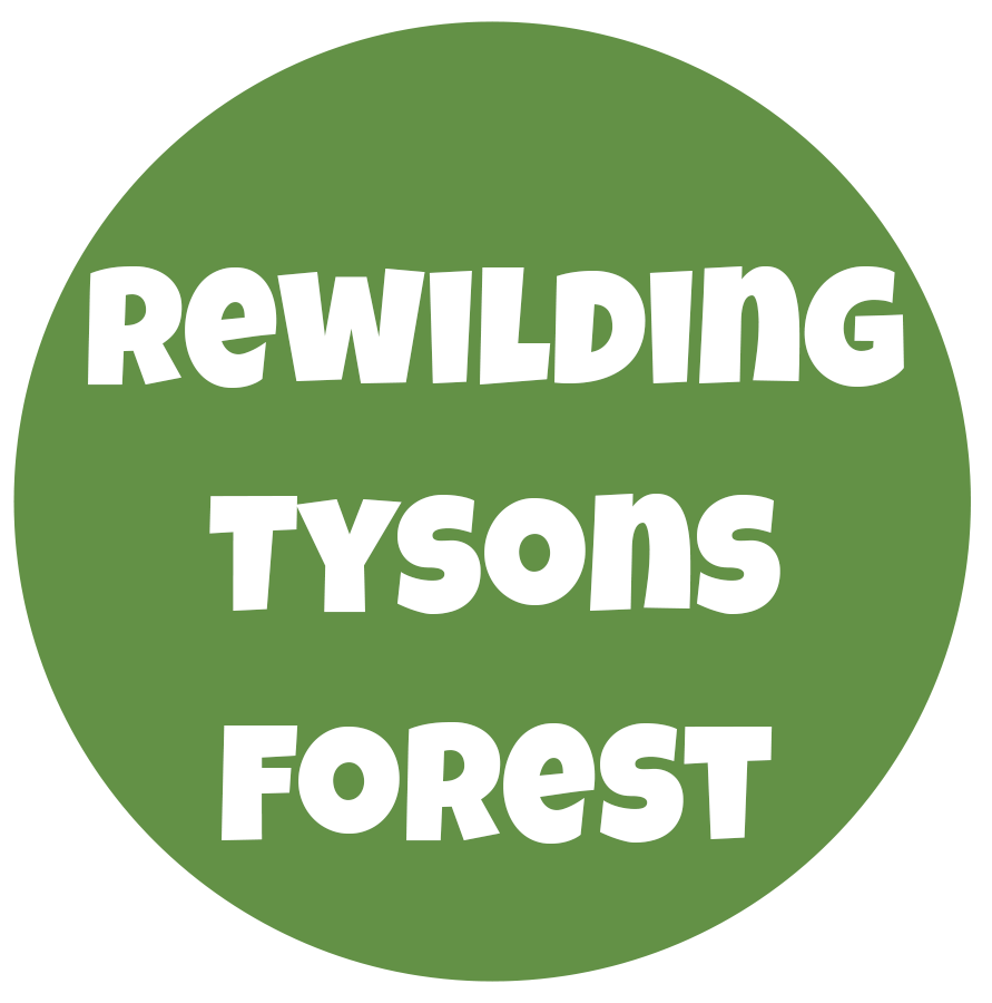 Rewilding Tysons Forest