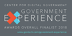 Government Experience Overall Finalist logo
