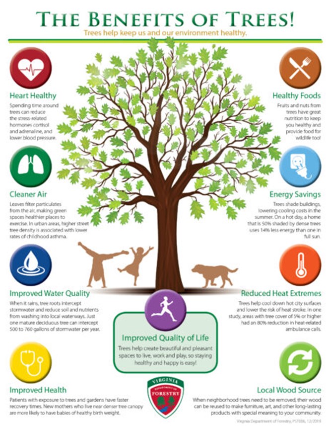 Benefits of Trees