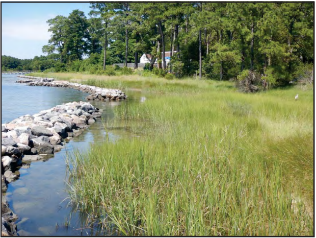 Photo: Living Shoreline Sea-Level Resiliency: Performance and Adaptive Management of Existing Sites. Hardaway, C., Milligan, D. A., & Wilcox, C. A. (2018), Virginia Institute of Marine Science, William & Mary