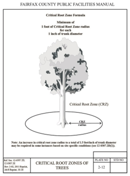 Critical Root Zone