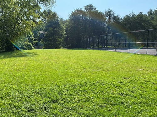Environmentally beneficial green space replaced the deteriorated basketball court in Springfield Station.