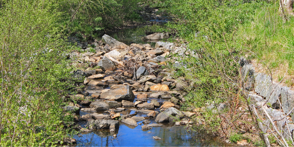 Stream