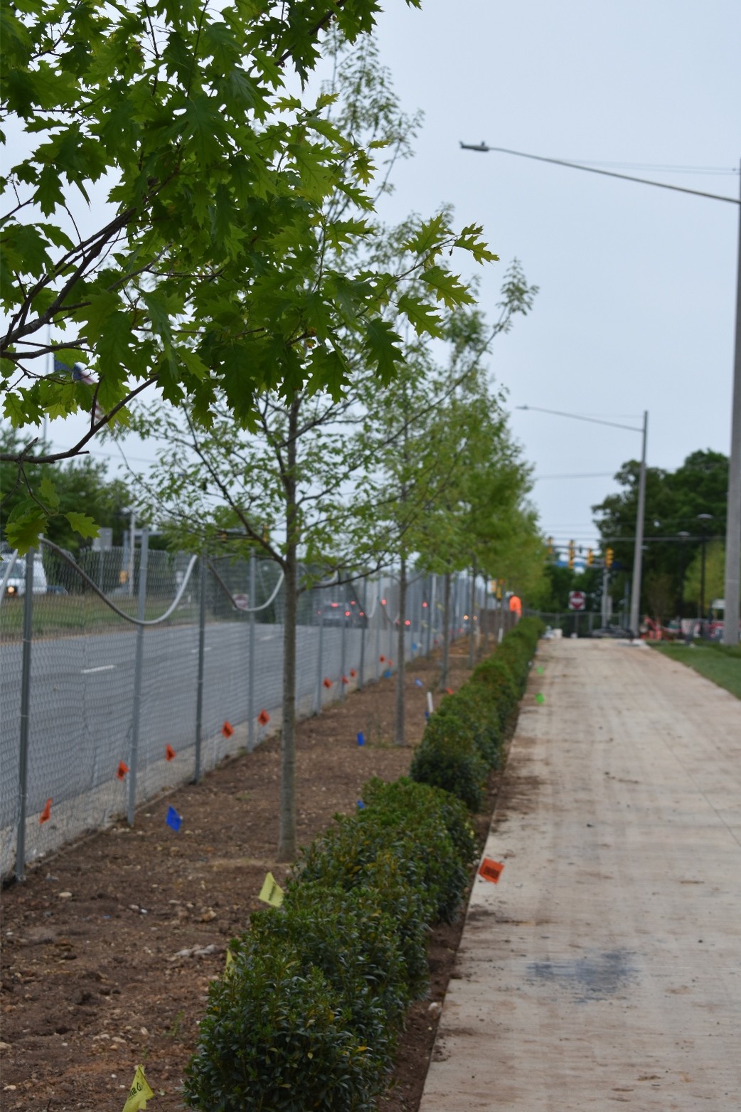 Tree Conservation