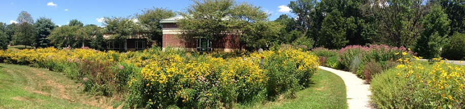 Great Falls Library