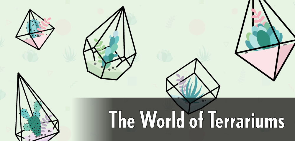 The World of Terrariums