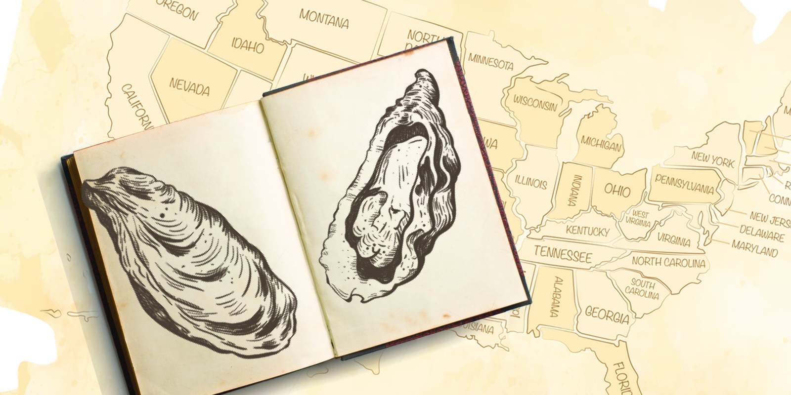 open books with black and white drawings of oyster shells on top of a U.S. states map background