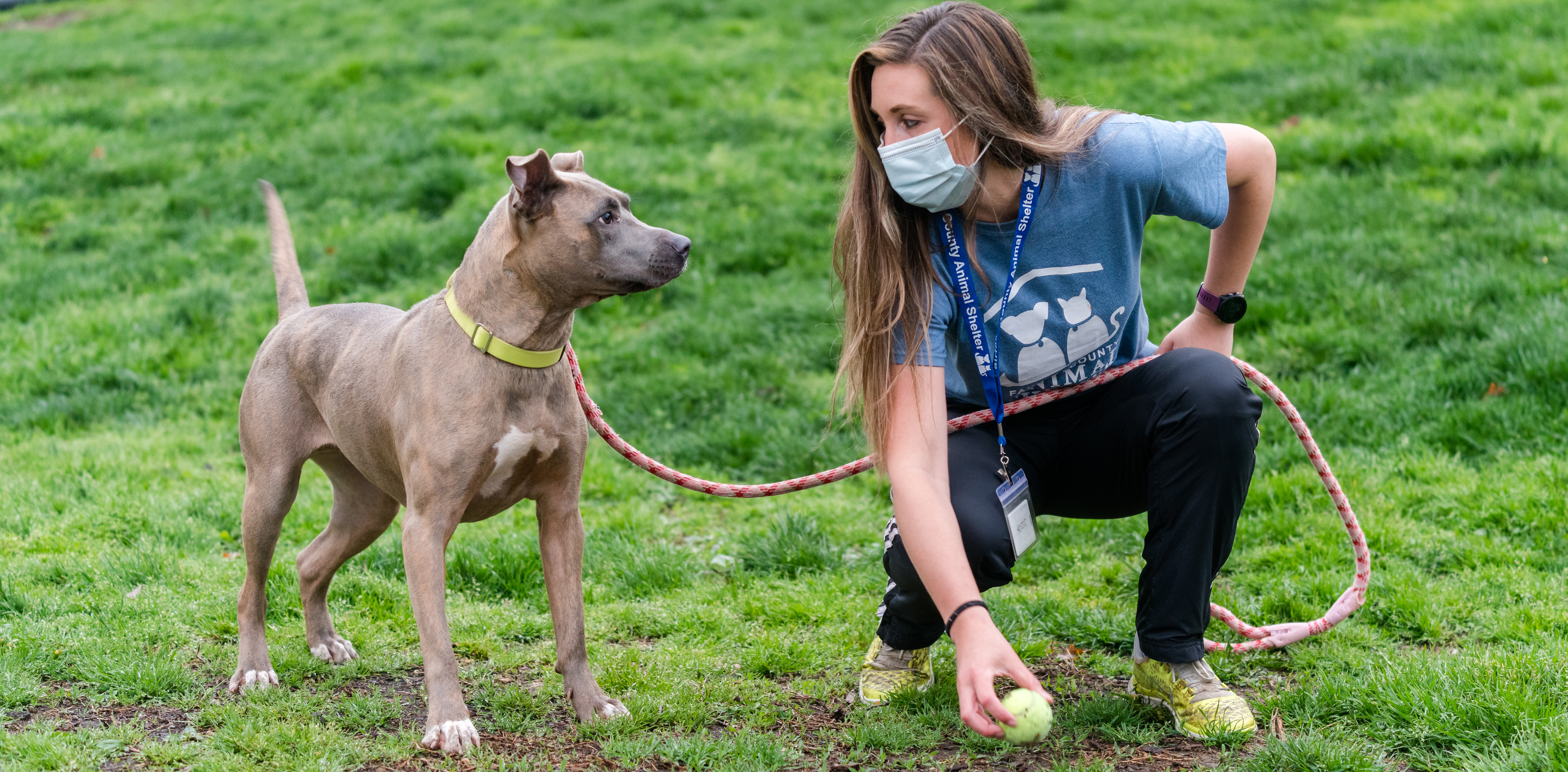 Fostering (Animal) Relationships | Library Fostering (Animal) Relationships | Library