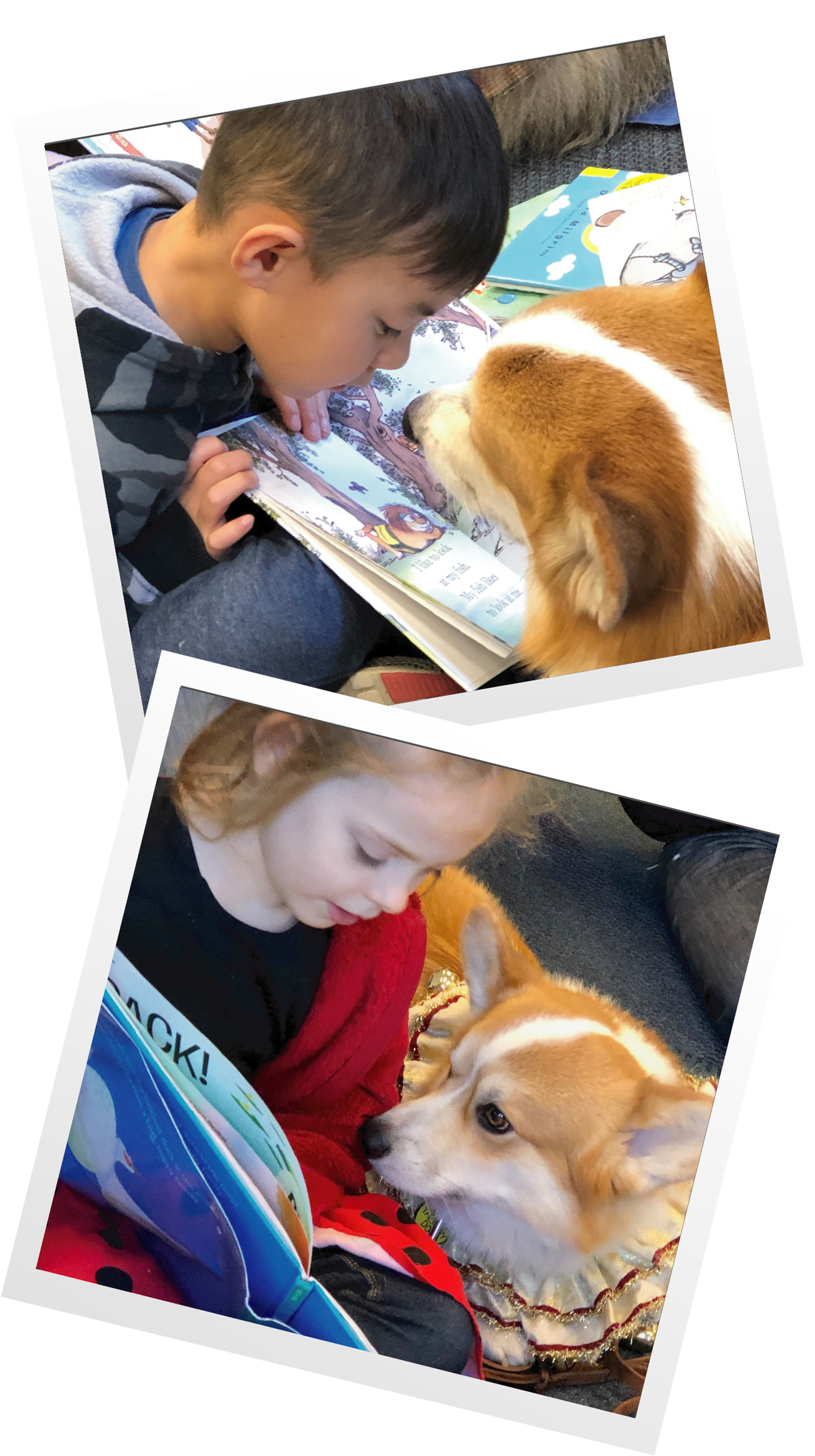 two photos, one of a boy and one of a girl reading a picture book to a corgi dog