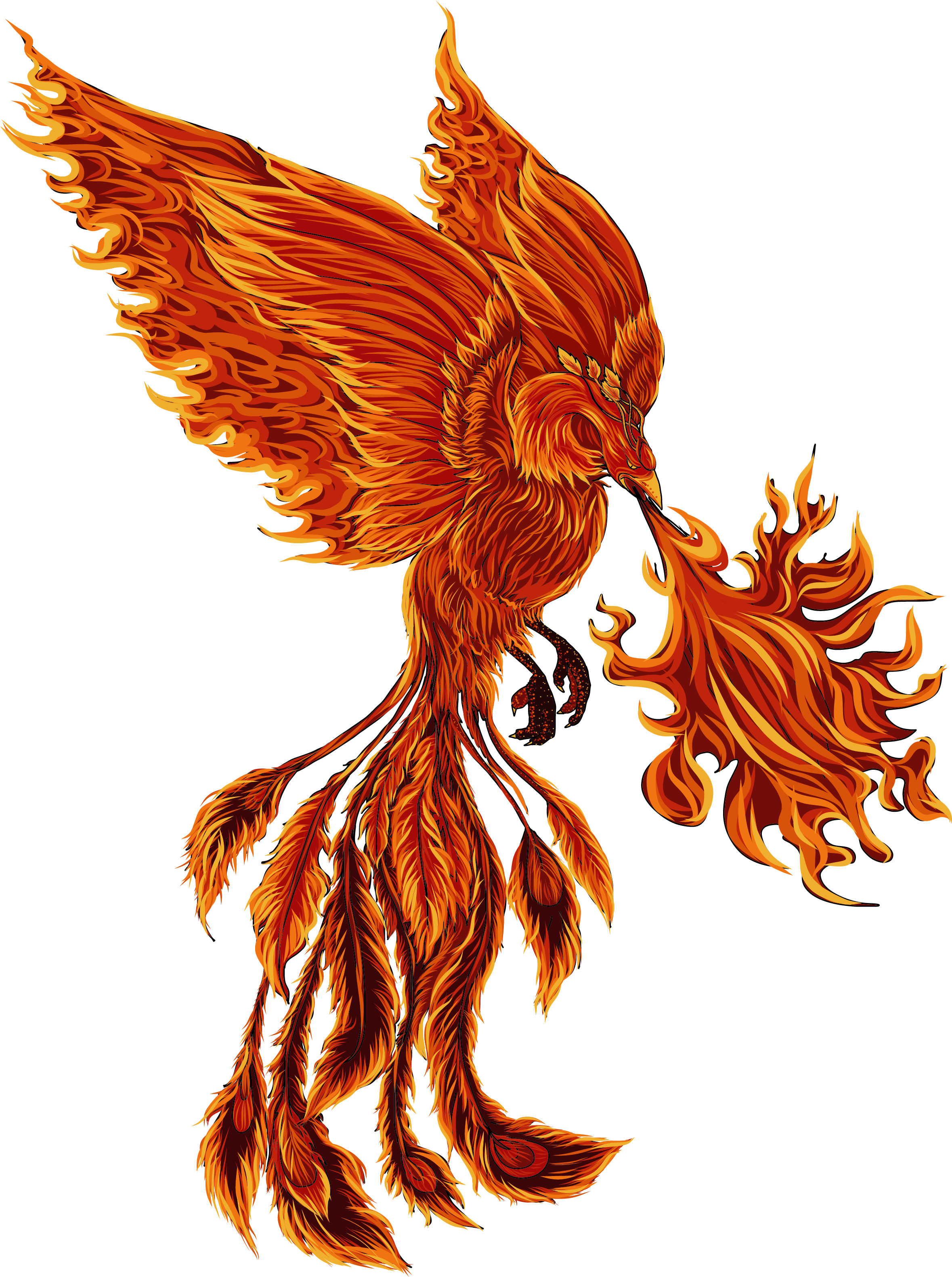 illustration of a phoenix-like creature with red and orange plumage breathing fire