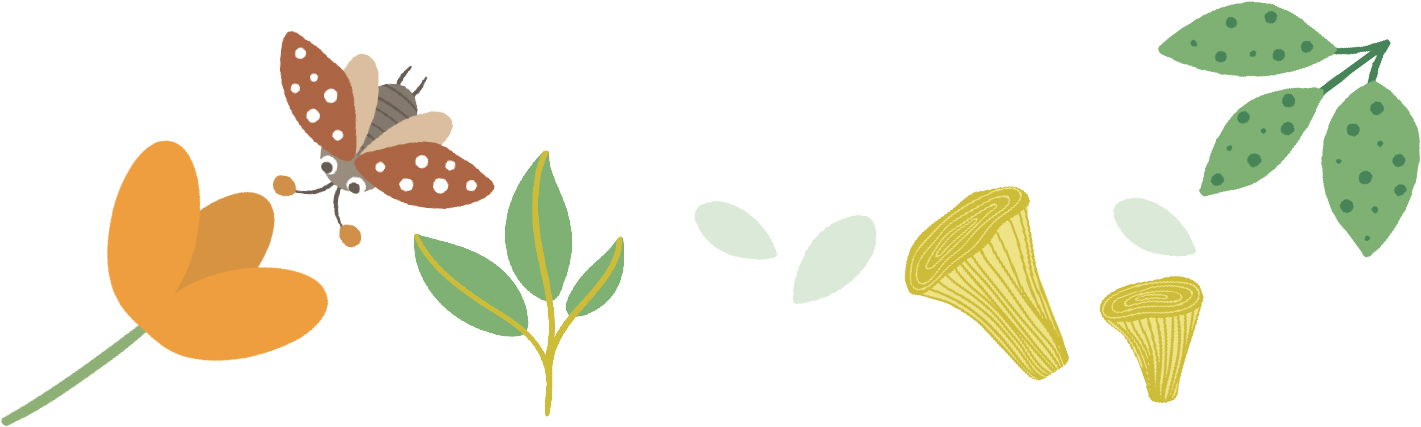 digital illustration of plants and leaves