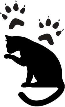 silhouette of cat and cat tracks
