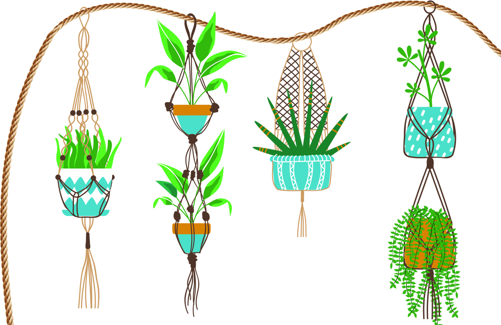 plants hanging from rope
