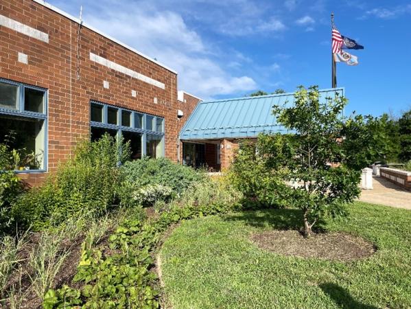 Native trees and shrubs were strategically planted to shade and cool the building in the summer, thus reducing energy costs. 