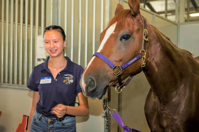 4-H Fair girl and horse