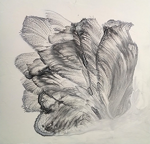 Floral painting in black and white
