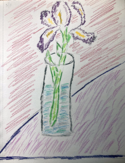 Pencil drawing of an iris in a vase