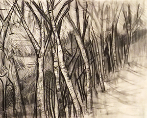 Black and white watercolor painting of trees