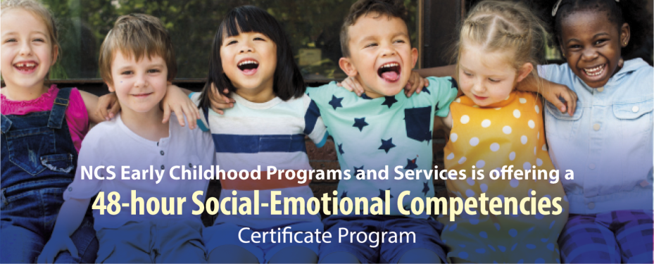 48hr certificiate program