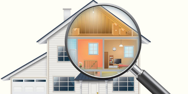Building Inspection Graphic Building Inspection Graphic