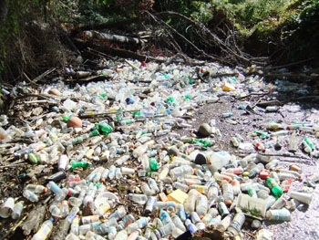 Litter near a creek