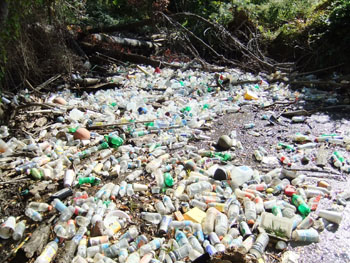 Litter near a creek