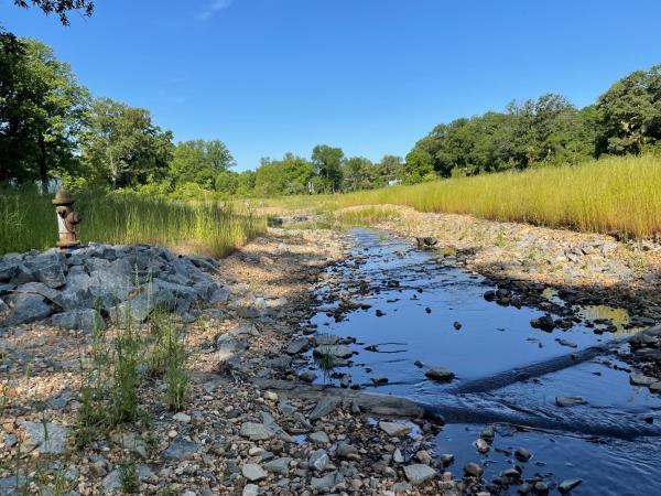 Stream Restoration After Picture