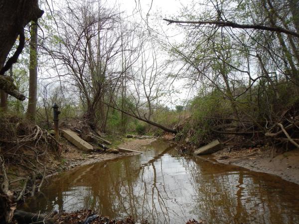 Stream Restoration Before Picture