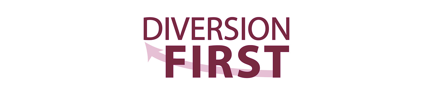 Diversion First logo Diversion First logo