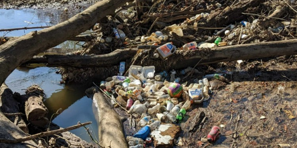 litter in fairfax county