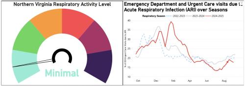 Respiratory Illness Dashboard Screenshot