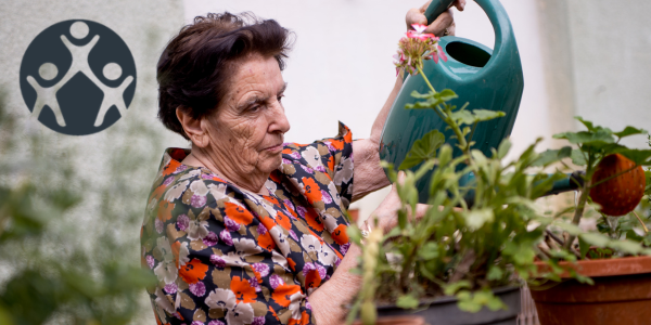person watering plants