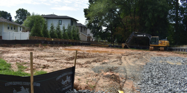 Trees near construction