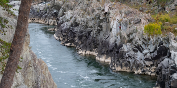 Great Falls flowing through a rocky gorge with steep gray cliffs and surrounding trees