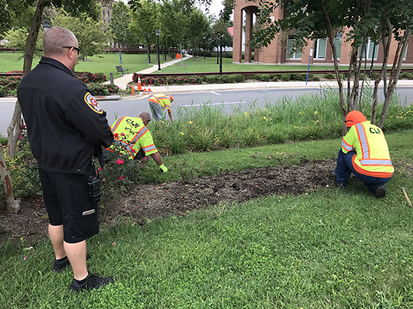 community labor force workers doing yard work