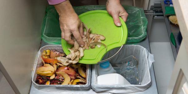 Picture of food scraps being composted
