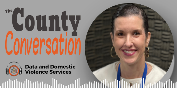 The County Conversation - Data and Domestic Violence Services