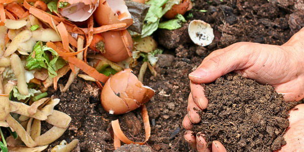 Compostable Compost Bin Bags - Natural Home Brands