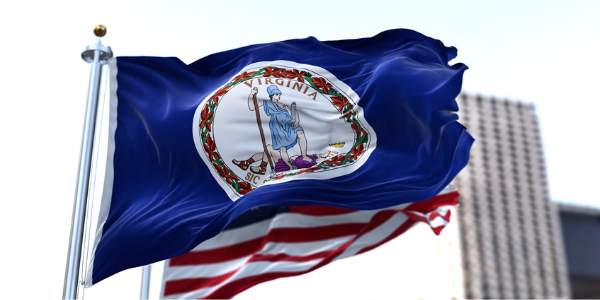 Virginia State Flag