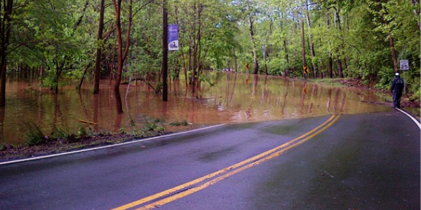 flooded road in Fairfax County