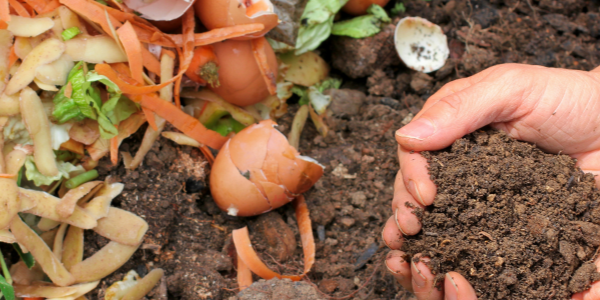 hand holding compost near food scraps hand holding compost near food scraps