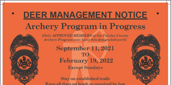 deer archery flyer