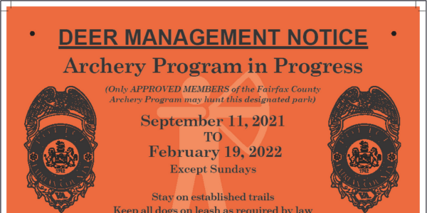 deer archery flyer deer archery flyer