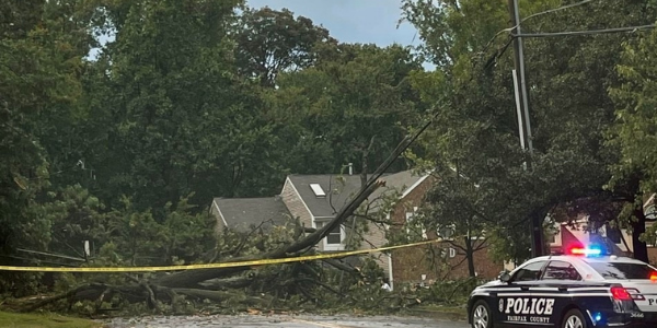 downed tree in fairfax county