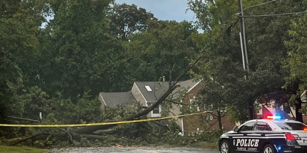 downed tree in fairfax county downed tree in fairfax county