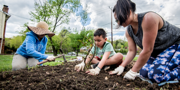 gardening in burke