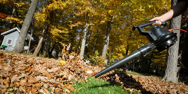 electric leaf blower blowing leaves electric leaf blower blowing leaves