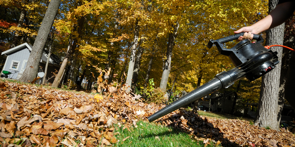 electric leaf blower blowing leaves