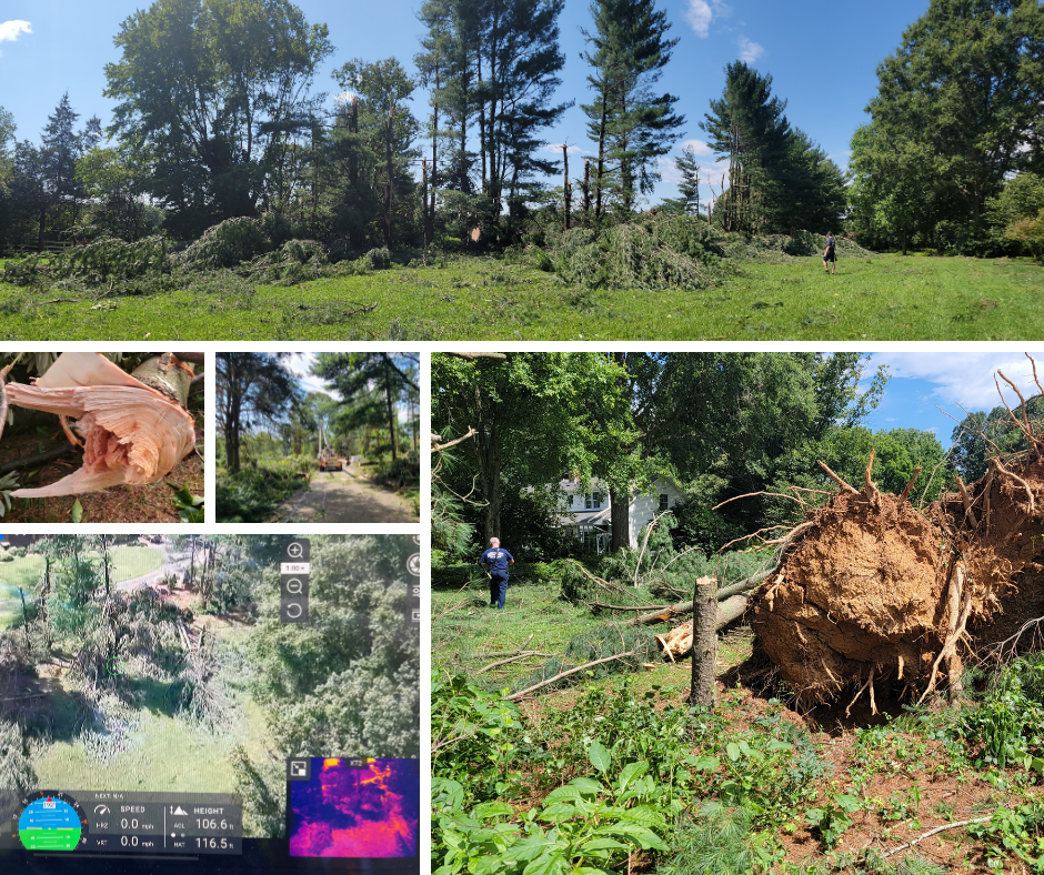 collage of microburst damage images including snapped and downed trees, drone photo