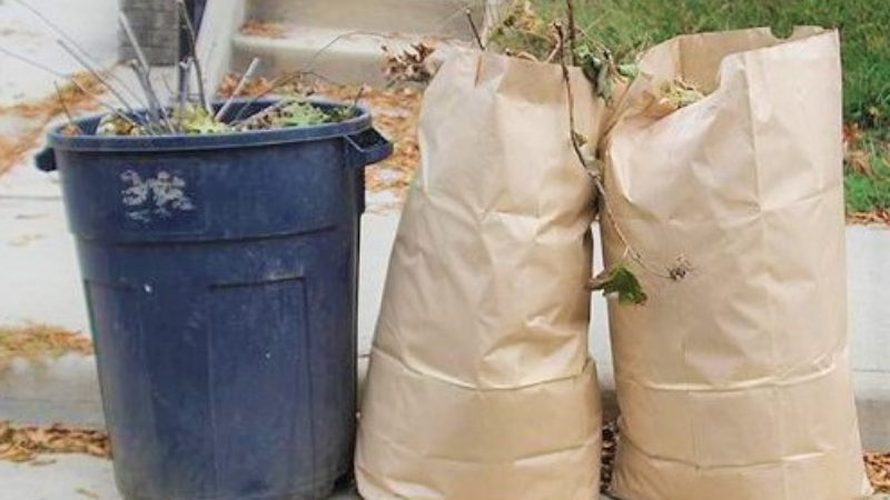 paper bags filled with yard waste paper bags filled with yard waste